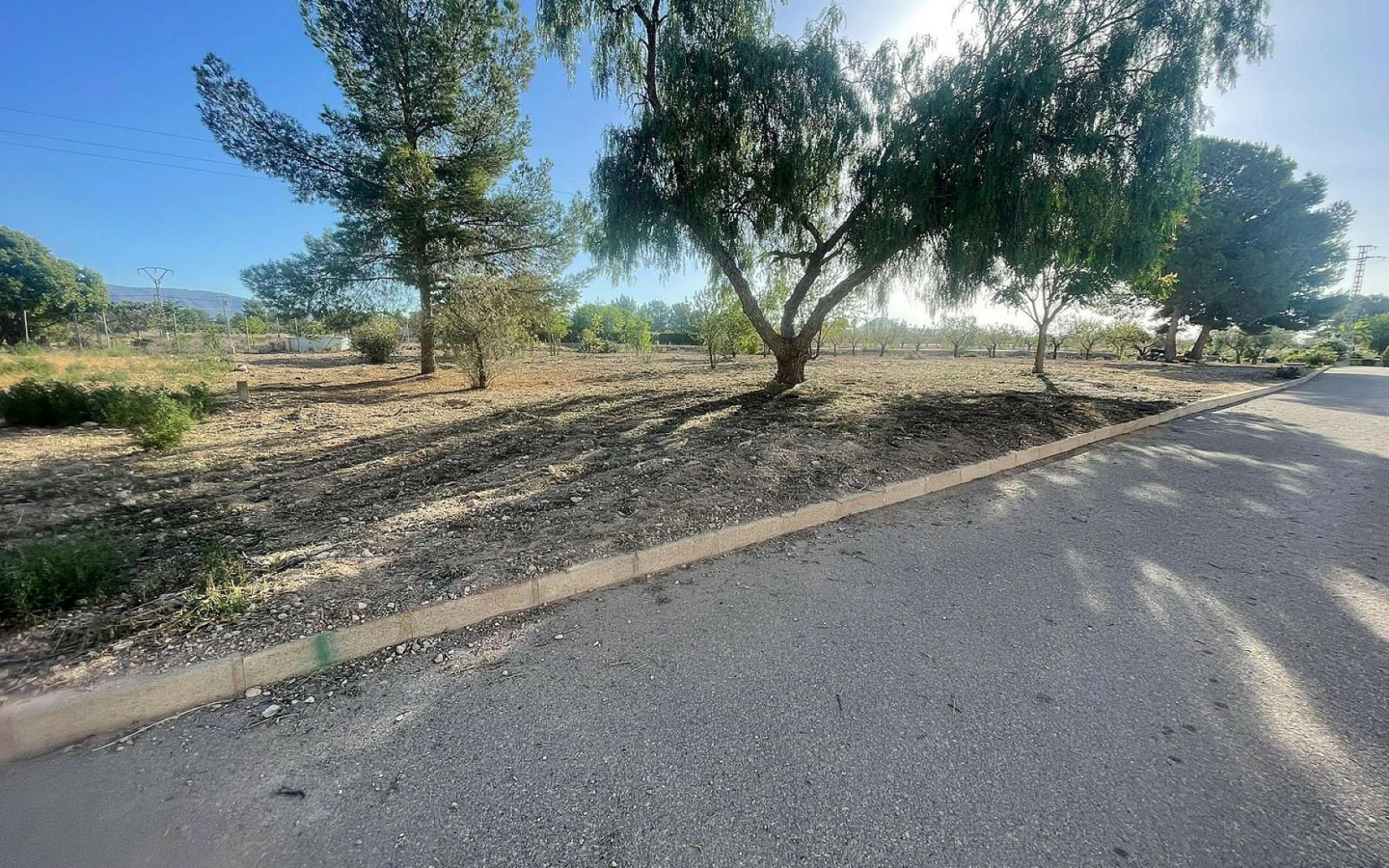 Land In Pinoso, Spain (1.160 M² Plot)