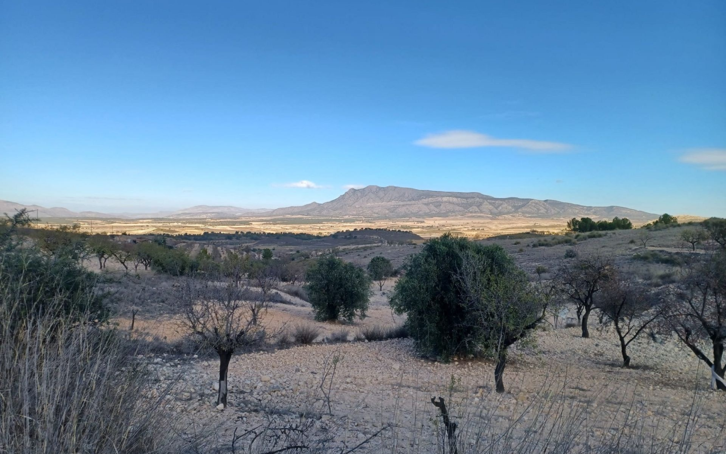 3-bedroom Country House In La Zarza, Spain (182 M²)