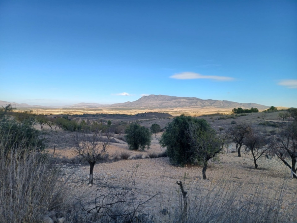 3-bedroom Country House In La Zarza, Spain (182 M²)