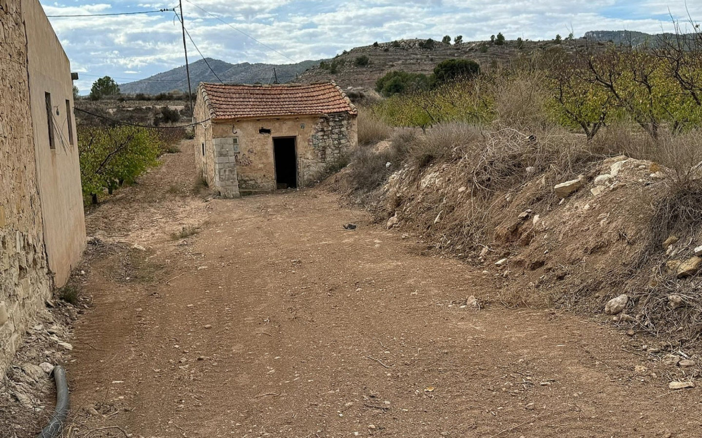 Land In Monovar, Spain (25.000 M² Plot)