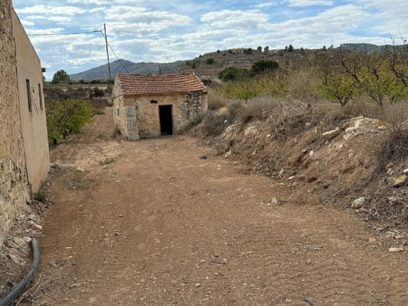 Land In Monovar, Spain (25.000 M² Plot)