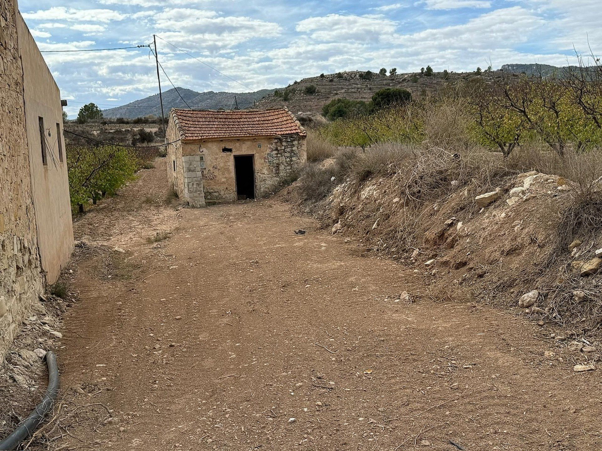 w_7nupjed6tw5u274s6u6b-50b2e5 Land In Monovar, Spain (25.000 M² Plot)