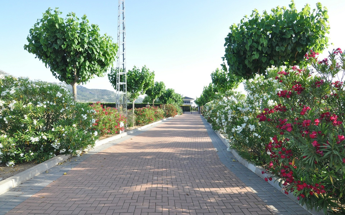 4-bedroom Detached Villa In Villena, Spain (500 M²)