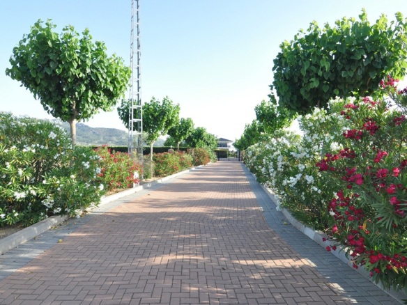 4-bedroom Detached Villa In Villena, Spain (500 M²)
