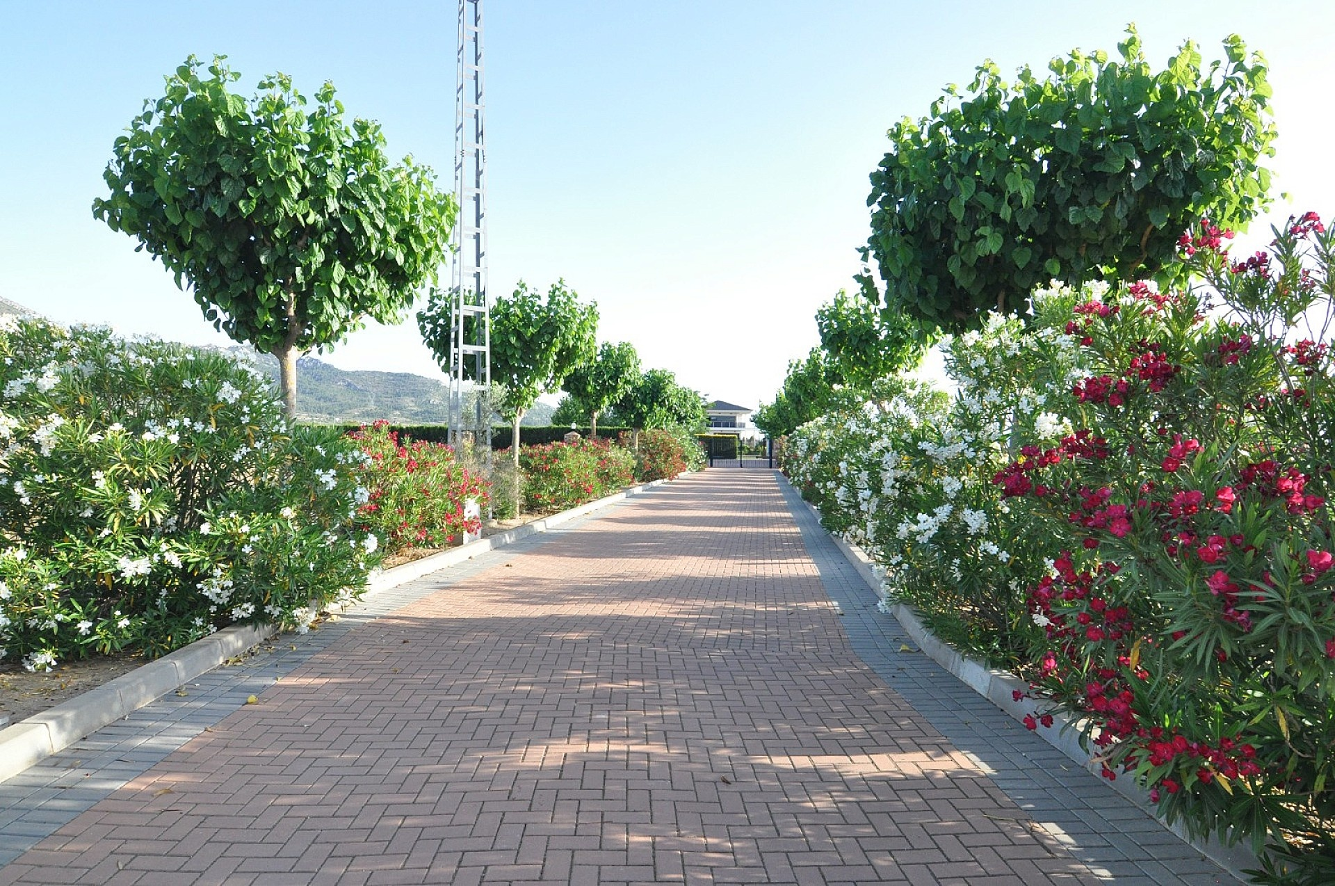 4-bedroom Detached Villa In Villena, Spain (500 M²)