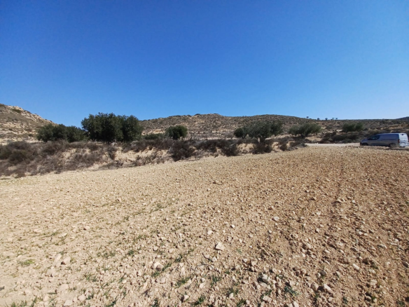 Land In Pinoso, Spain (27.000 M² Plot)