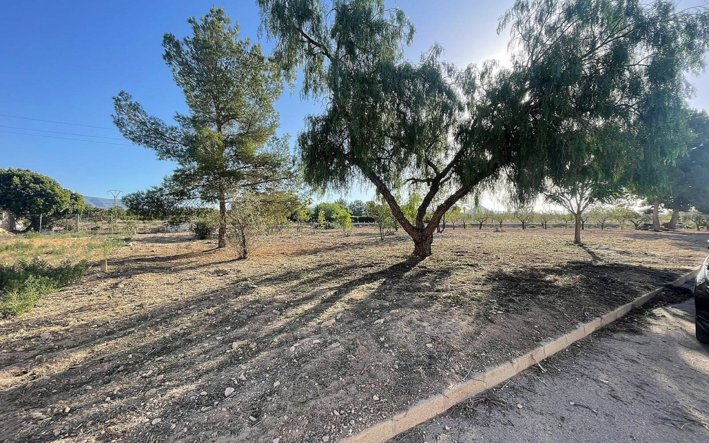 Land In Pinoso, Spain (1.160 M² Plot)