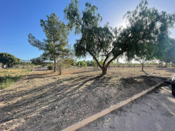 Land In Pinoso, Spain (1.160 M² Plot)