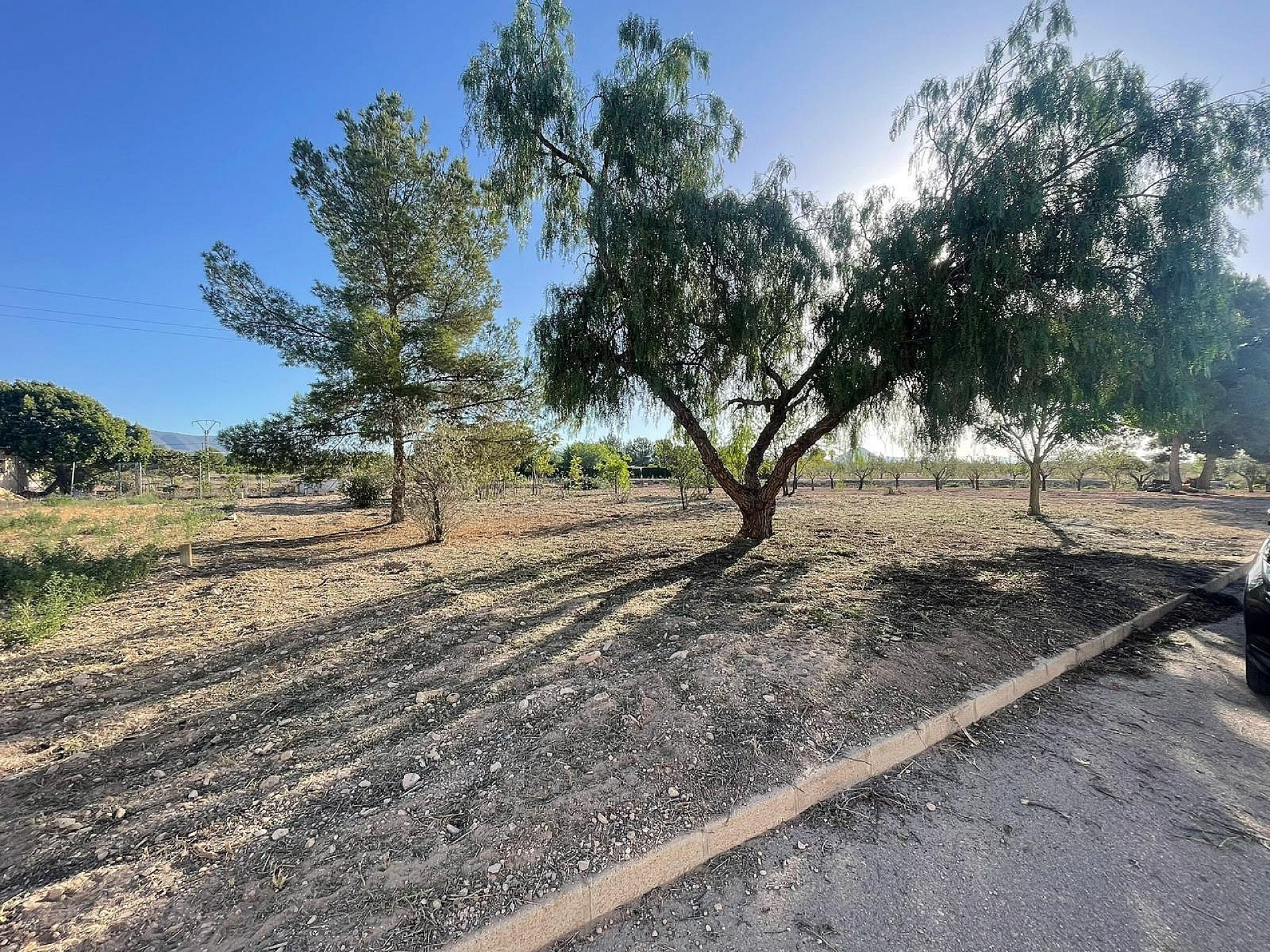 Land In Pinoso, Spain (1.160 M² Plot)