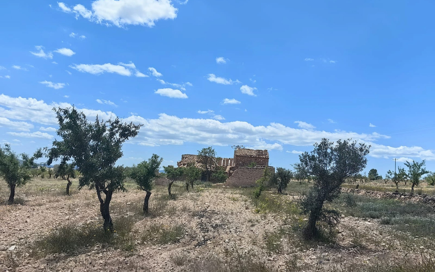 Land In Pinoso, Spain (10.000 M² Plot)