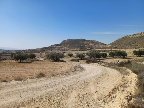 Land In Pinoso, Spain (27.000 M² Plot)
