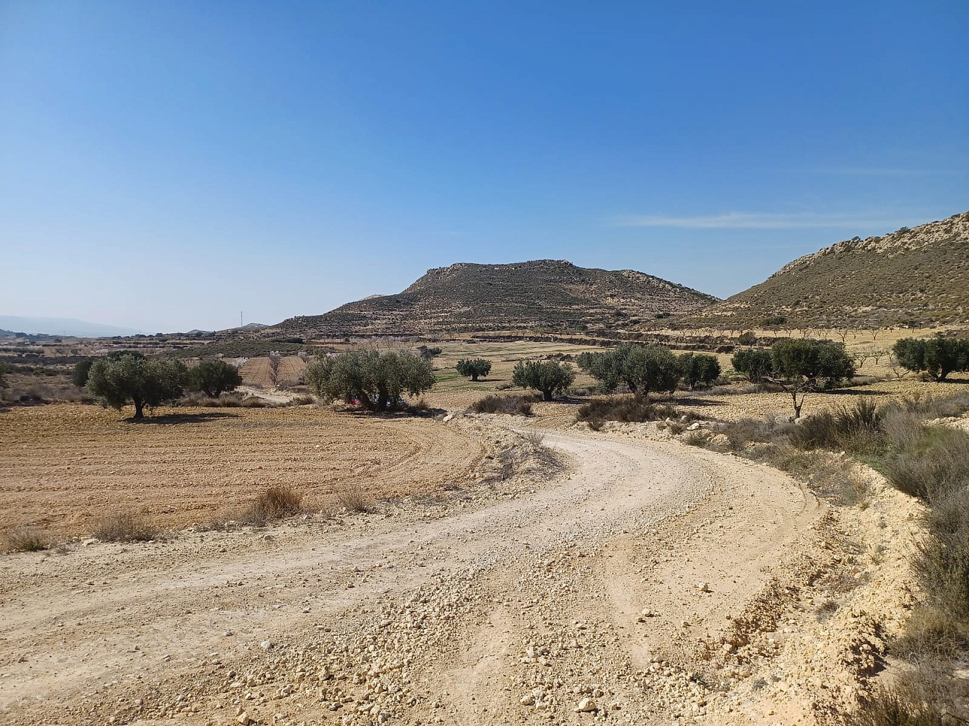 Land In Pinoso, Spain (27.000 M² Plot)