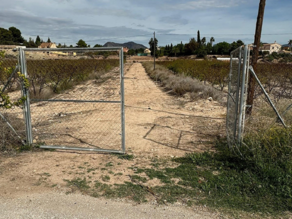 Land In Monovar, Spain (11.000 M² Plot)