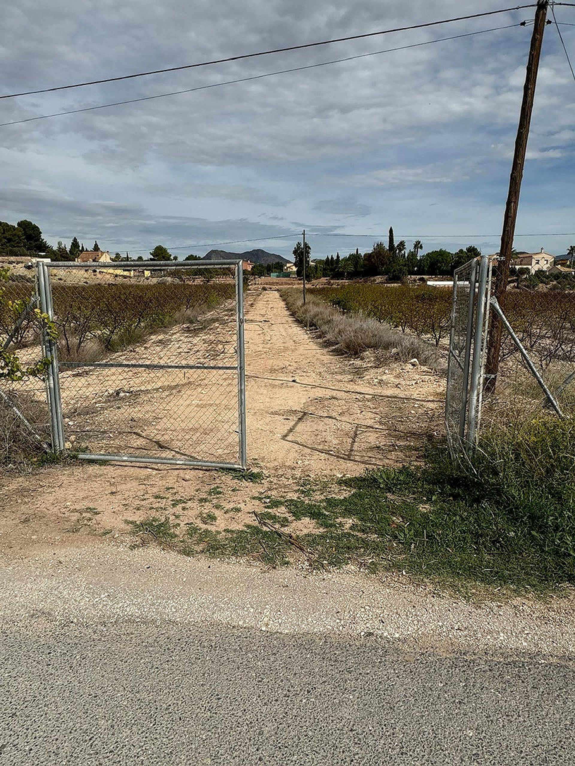 Land In Monovar, Spain (11.000 M² Plot)