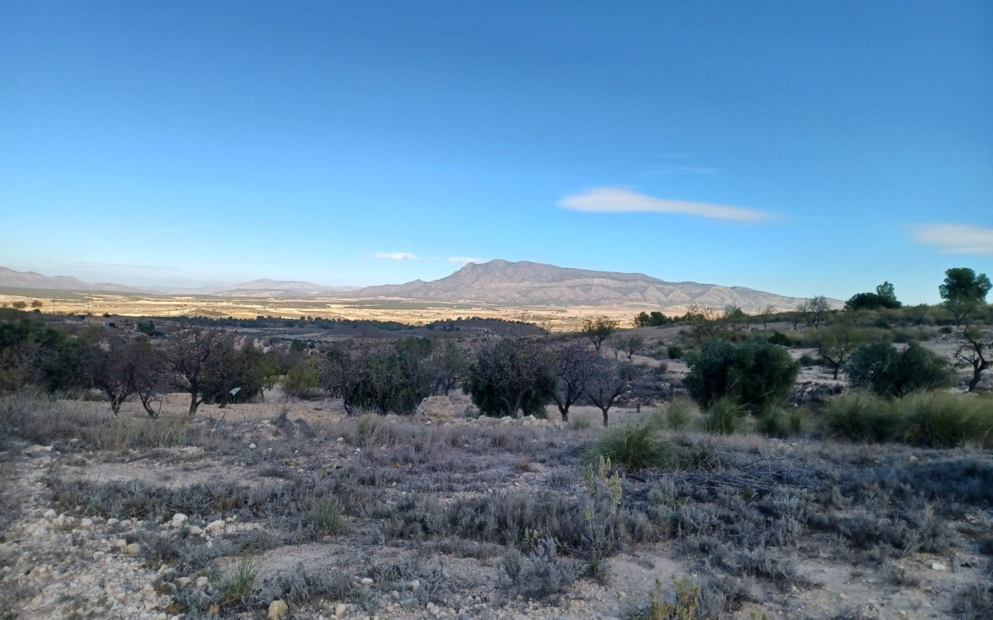 3-bedroom Country House In La Zarza, Spain (182 M²)