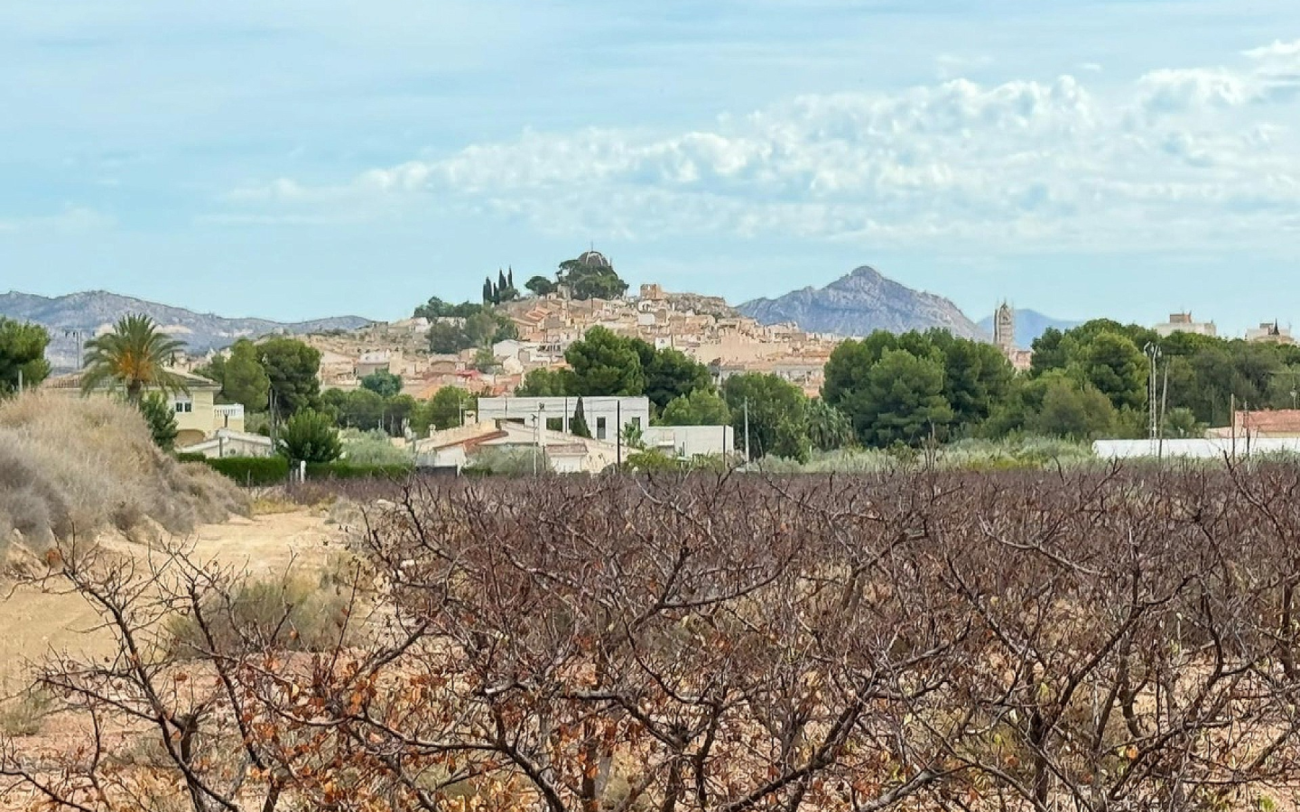 Land In Monovar, Spain (25.000 M² Plot)