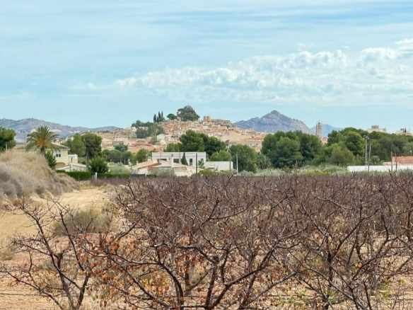 Land In Monovar, Spain (25.000 M² Plot)