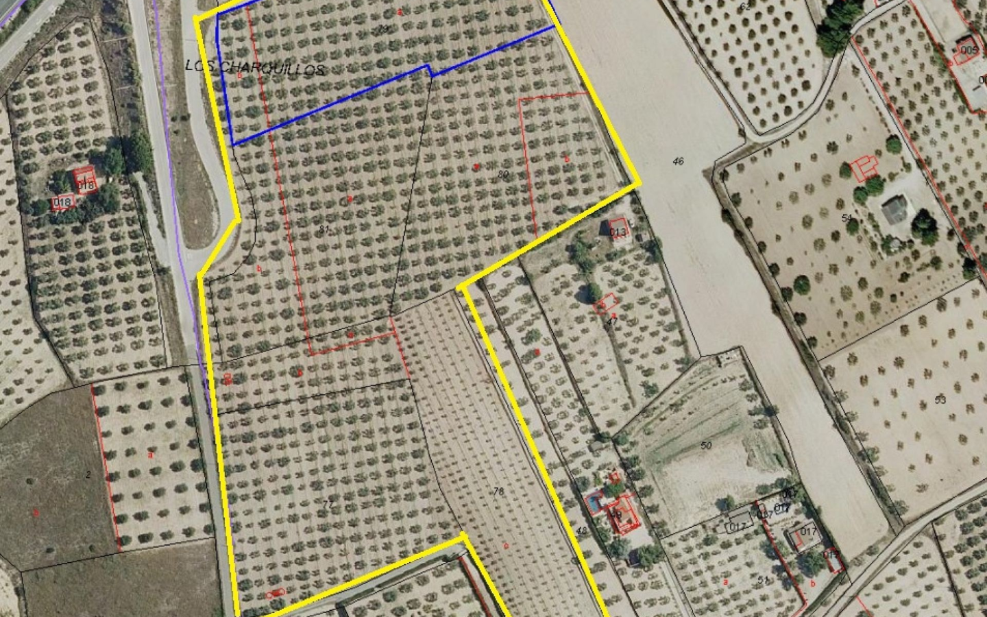 Land In Sax, Spain (52.543 M² Plot)