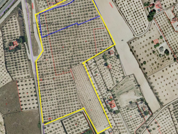 Land In Sax, Spain (52.543 M² Plot)