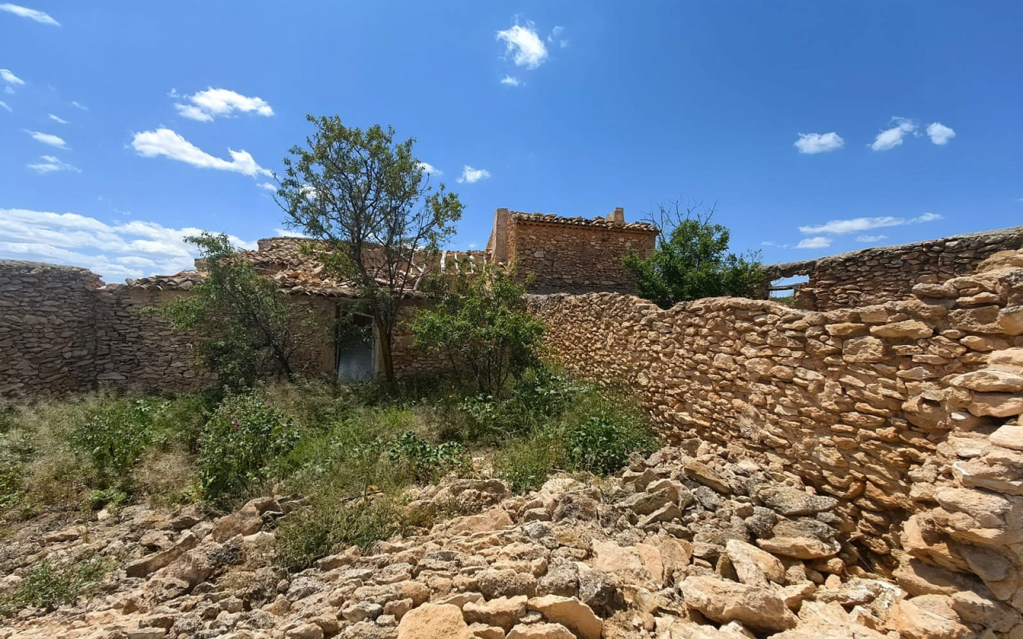 Land In Pinoso, Spain (10.000 M² Plot)