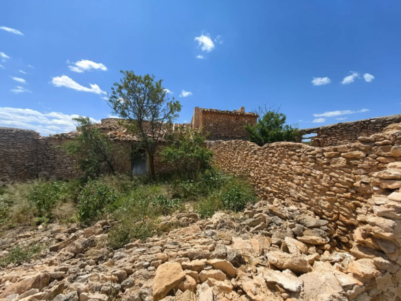 Land In Pinoso, Spain (10.000 M² Plot)