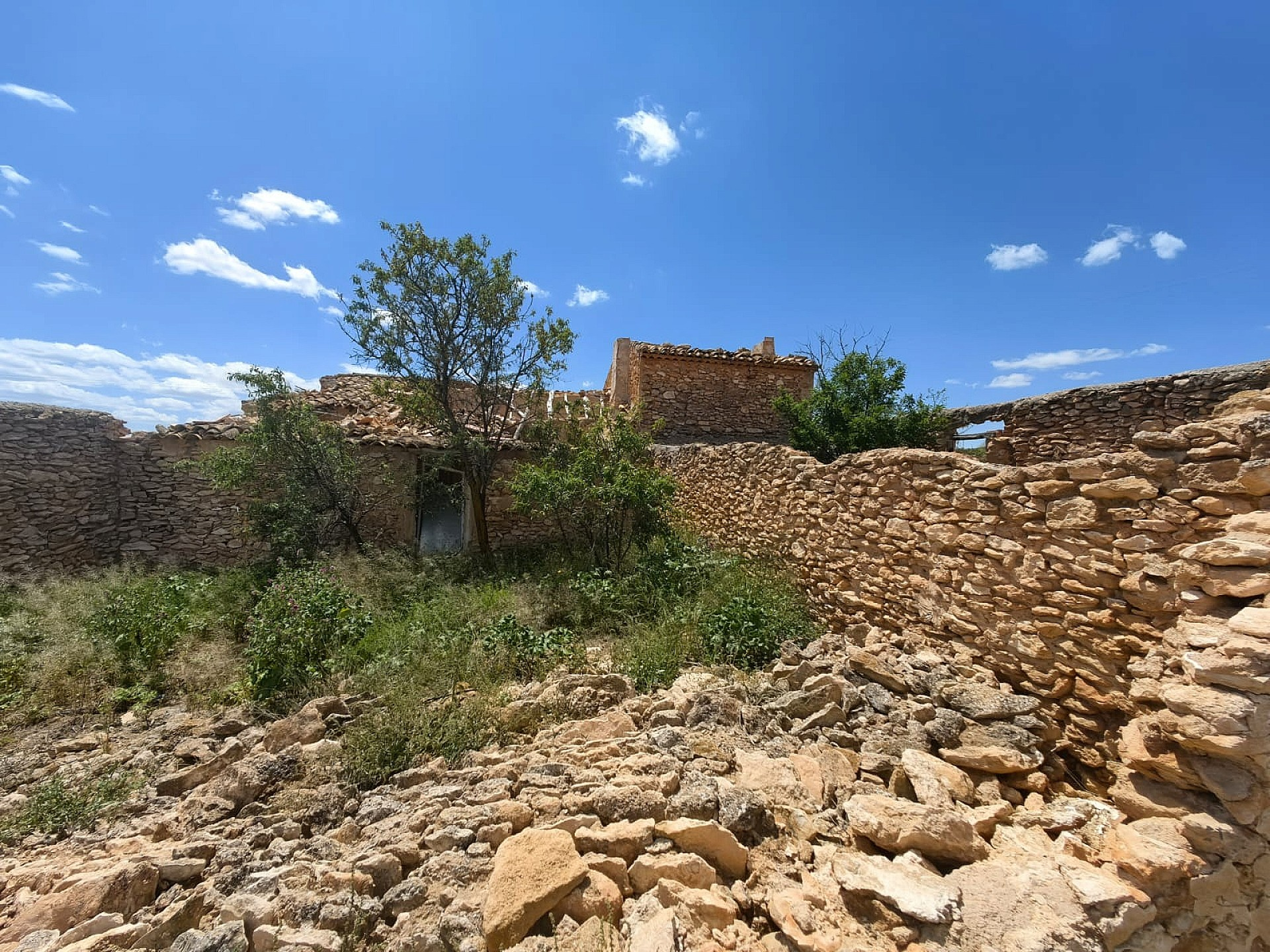 Land In Pinoso, Spain (10.000 M² Plot)