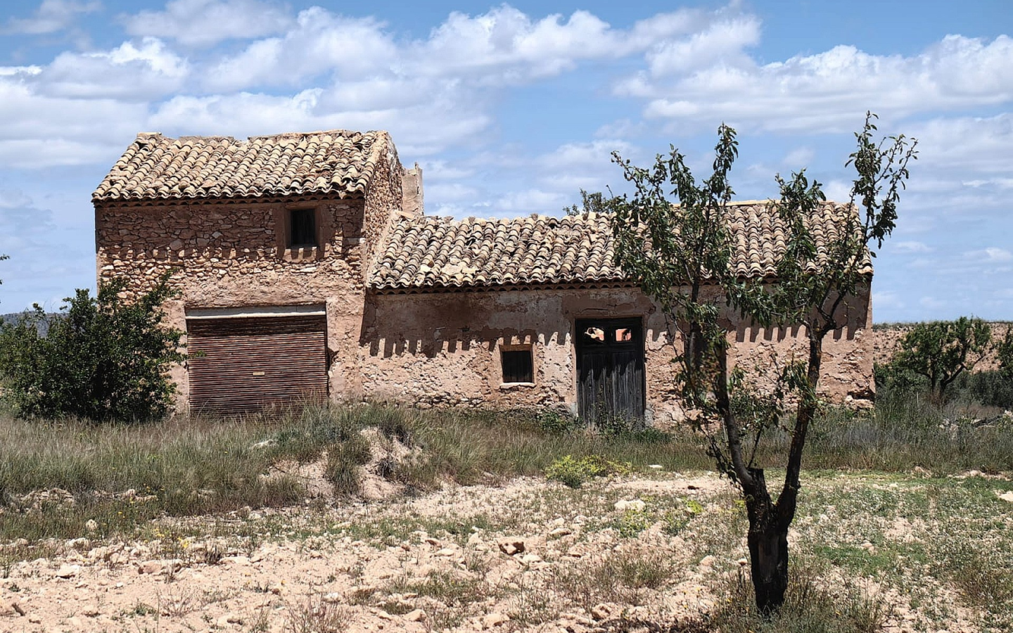 Land In Pinoso, Spain (10.000 M² Plot)