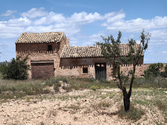 Land In Pinoso, Spain (10.000 M² Plot)