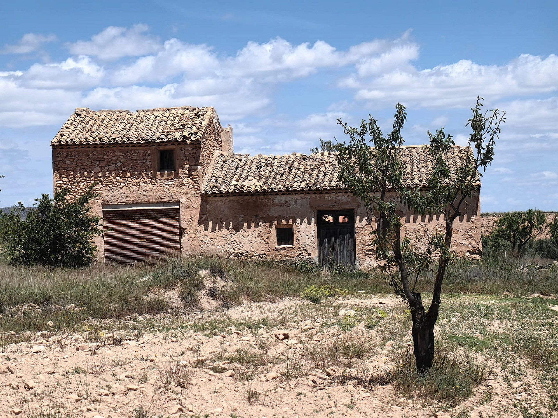 Land In Pinoso, Spain (10.000 M² Plot)