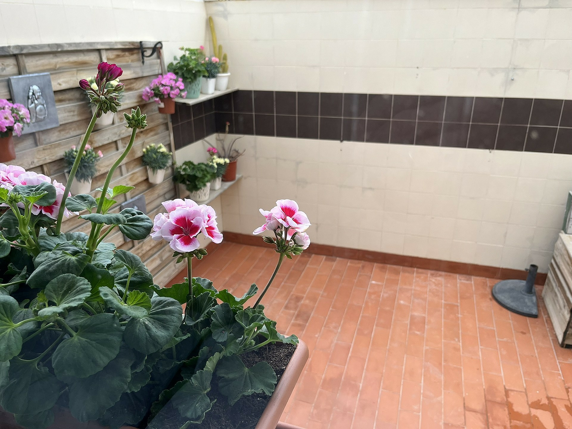 w_bit7hx0efhz35e8dom8f-d29001 3-bedroom Townhouse In Cañada De La Leña, Spain (165 M²)