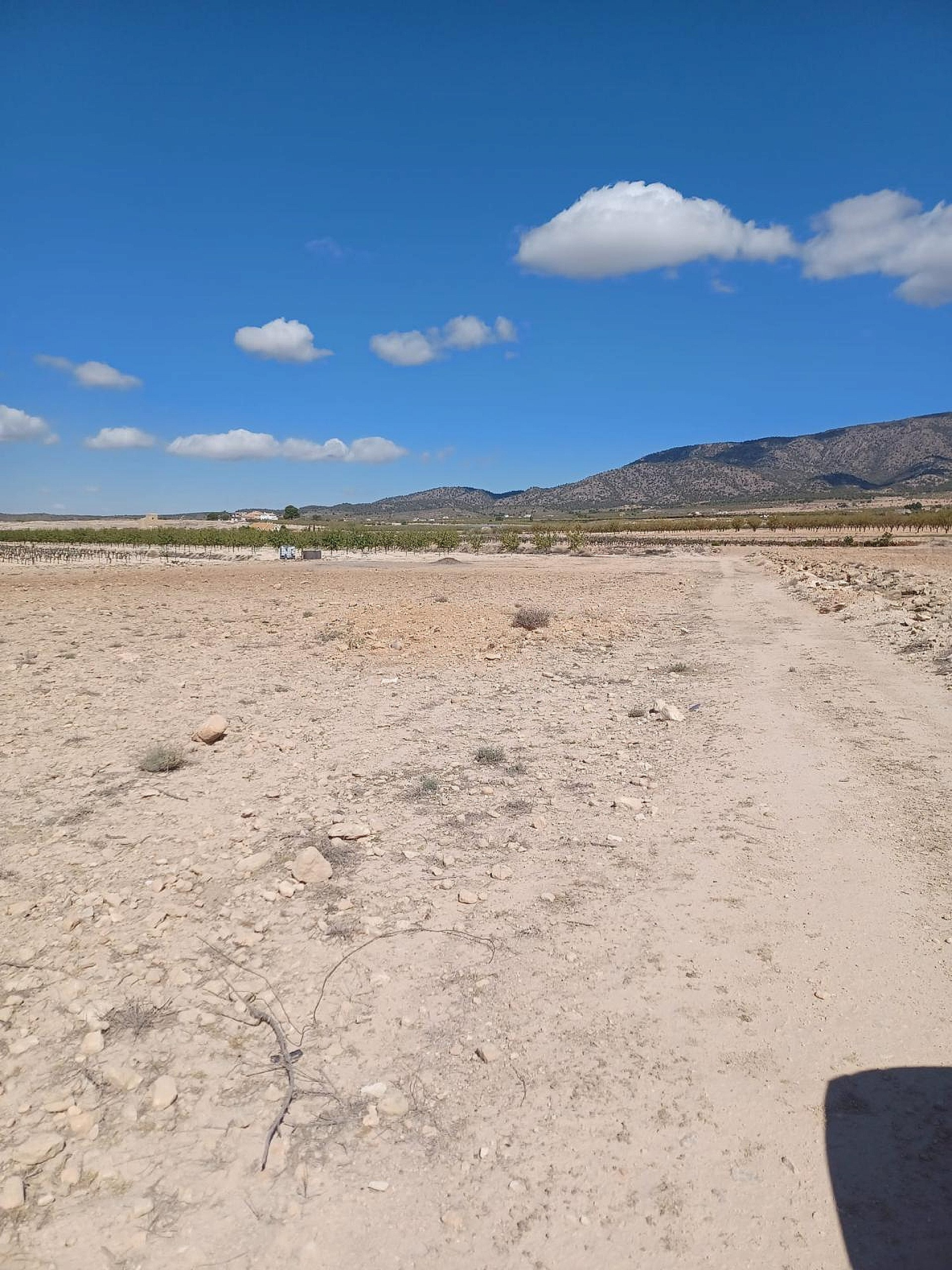 w_buefnedr6kiwqbmhnsco-029503 Land In Pinoso, Spain (13.836 M² Plot)