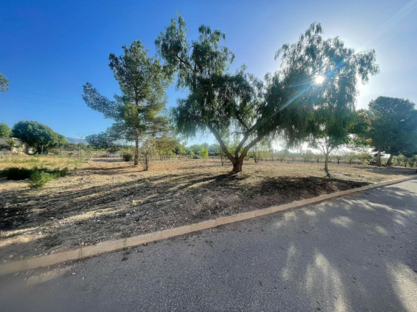 Land In Pinoso, Spain (1.160 M² Plot)