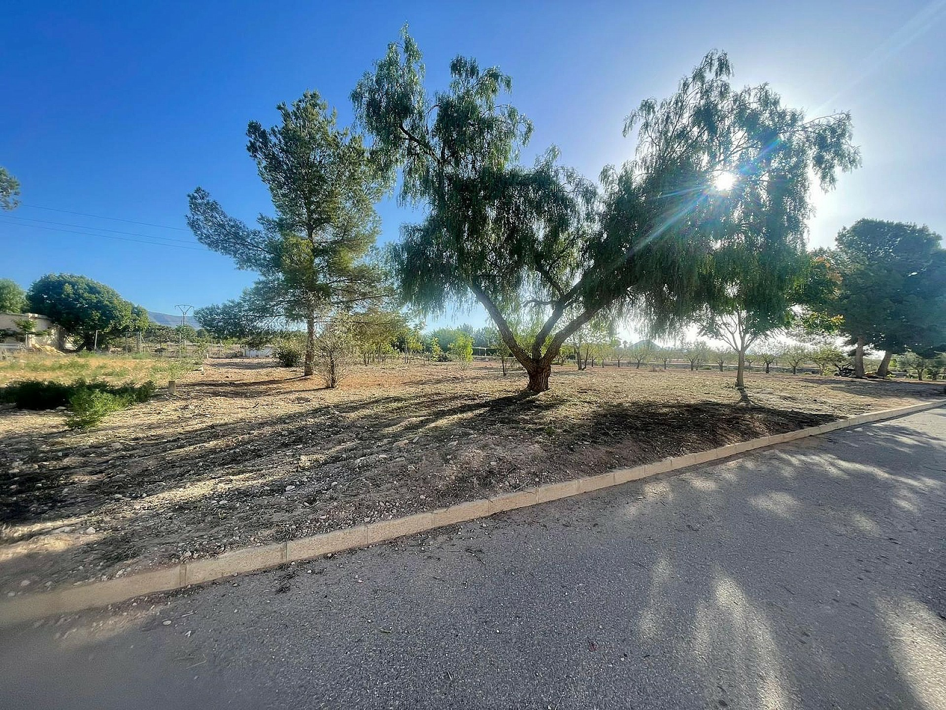 w_cjj40uvdter6vb2eqjog-6dfd62 Land In Pinoso, Spain (1.160 M² Plot)
