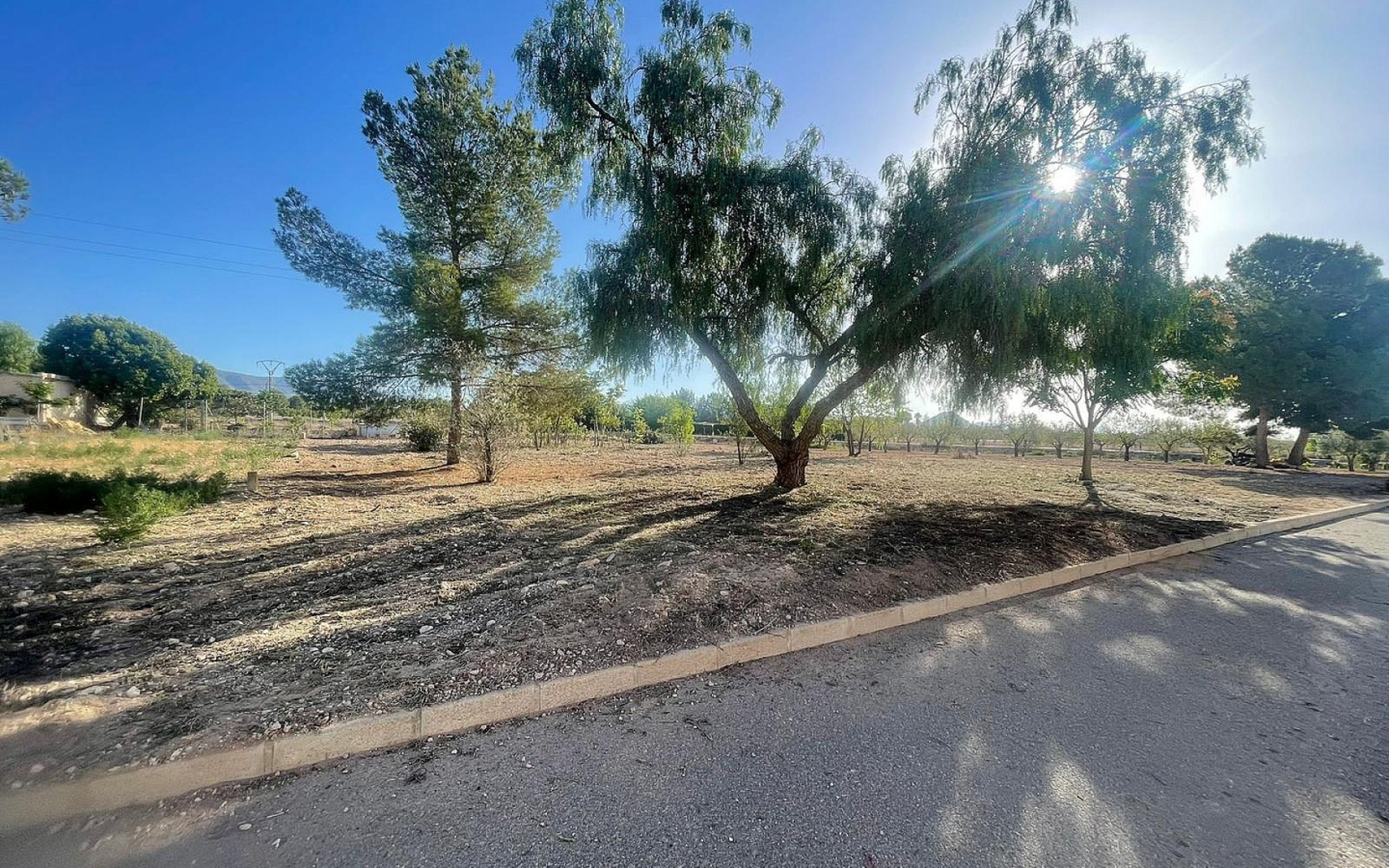 Land In Pinoso, Spain (1.160 M² Plot)