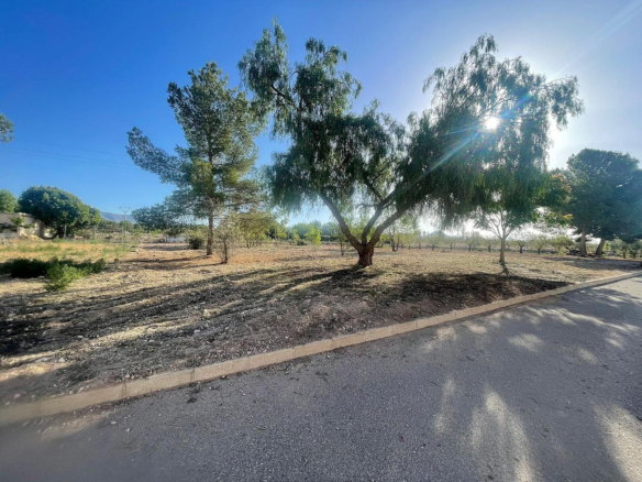Land In Pinoso, Spain (1.160 M² Plot)