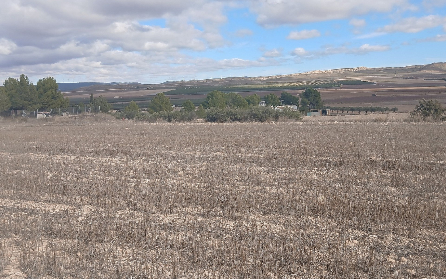 Land In Yecla, Spain (110.312 M² Plot)