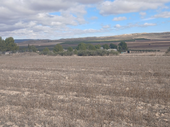 Land In Yecla, Spain (110.312 M² Plot)