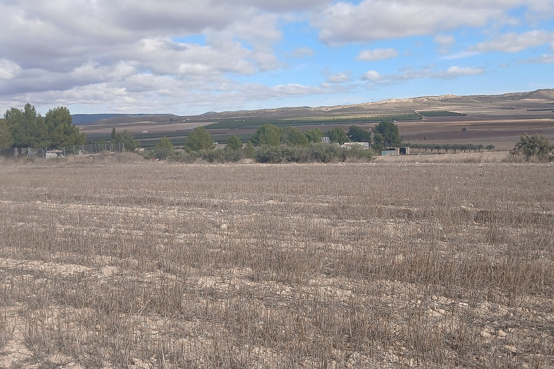 w_cjmgm8kupfg3itspsqh3-988a7d Land In Yecla, Spain (110.312 M² Plot)