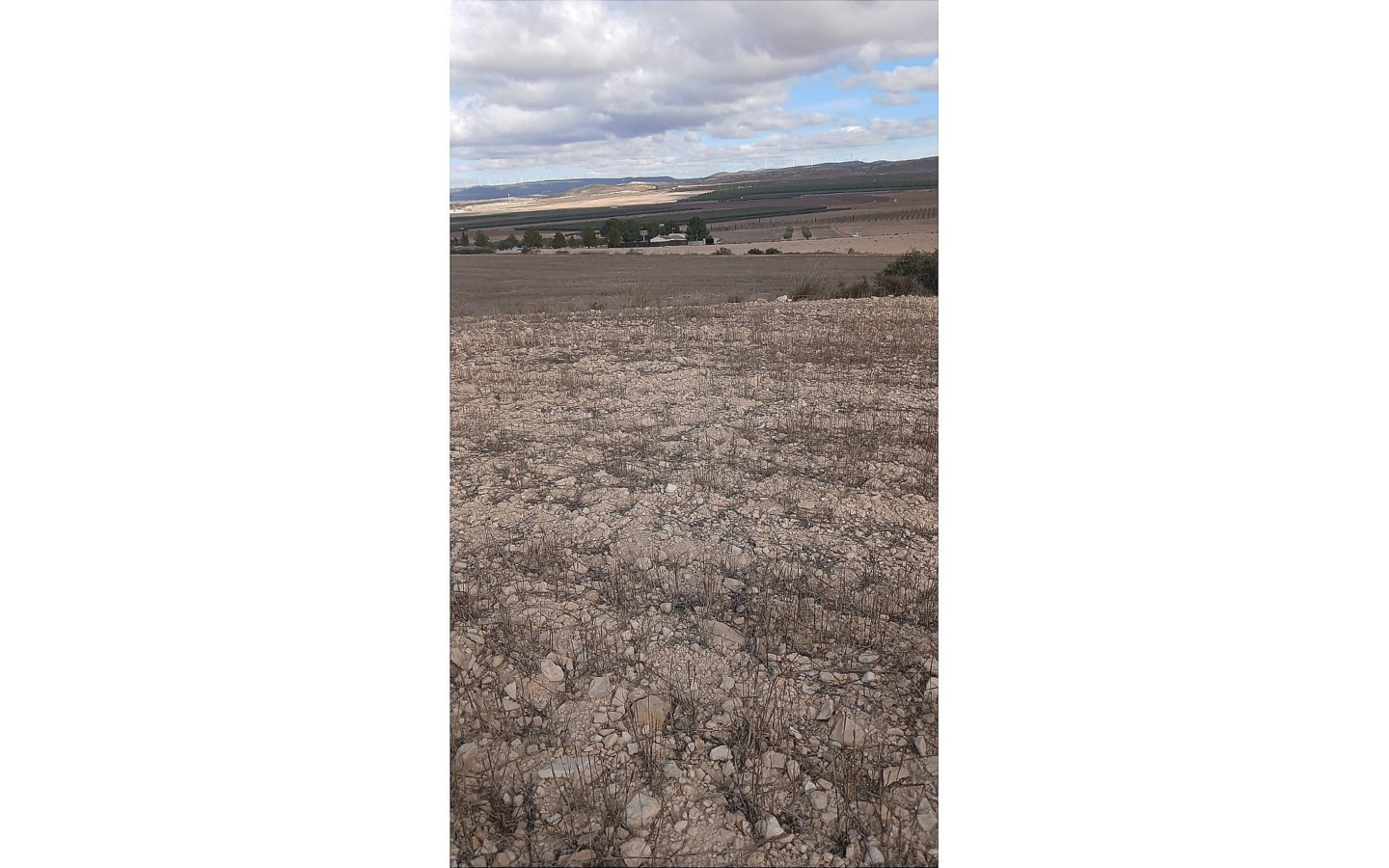 Land In Yecla, Spain (110.312 M² Plot)