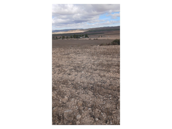 Land In Yecla, Spain (110.312 M² Plot)