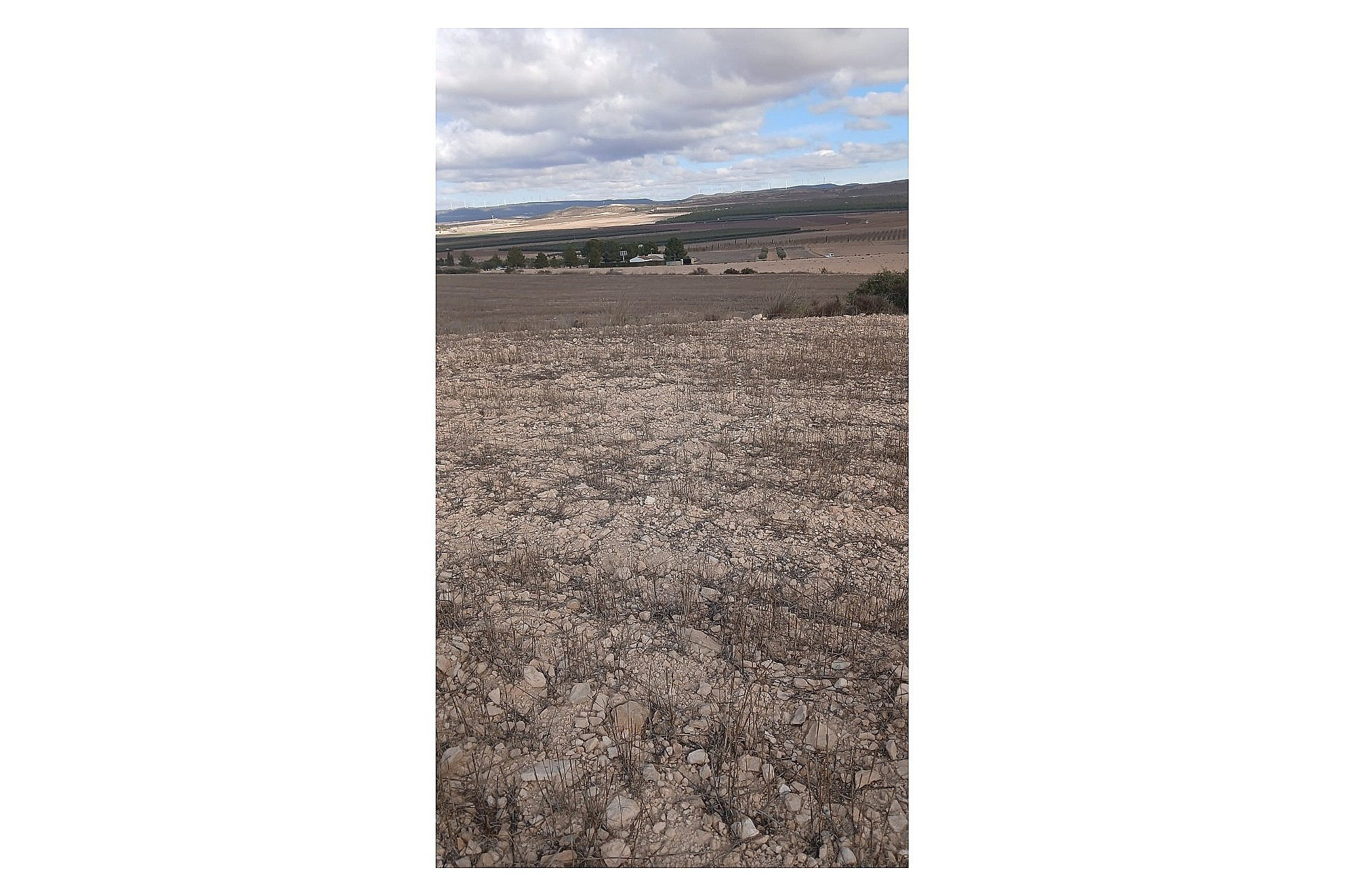 w_ctpsxrupiswp6taw50ar-88ab73 Land In Yecla, Spain (110.312 M² Plot)
