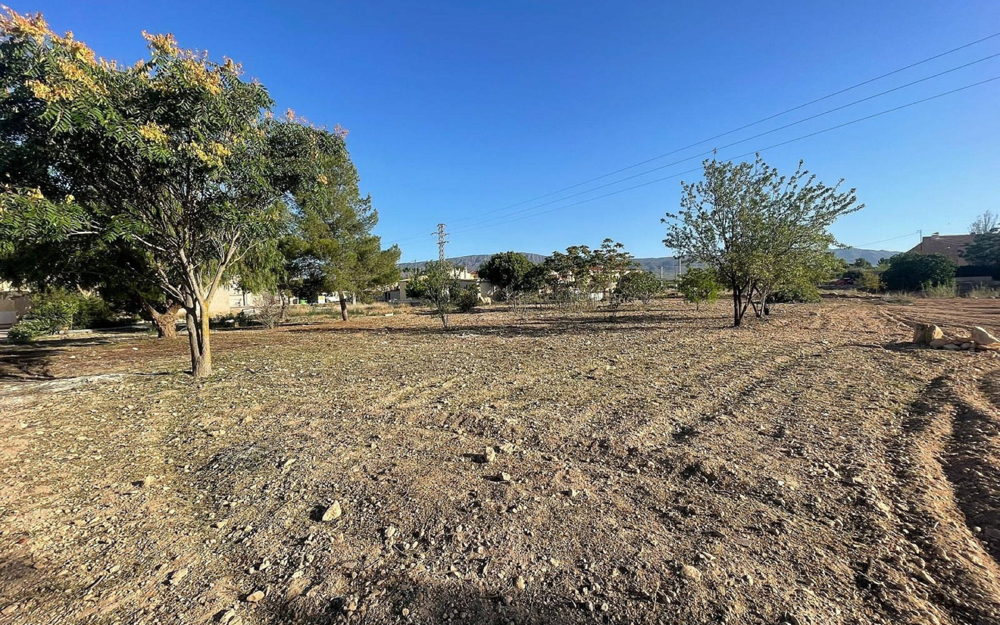 Land In Pinoso, Spain (1.160 M² Plot)