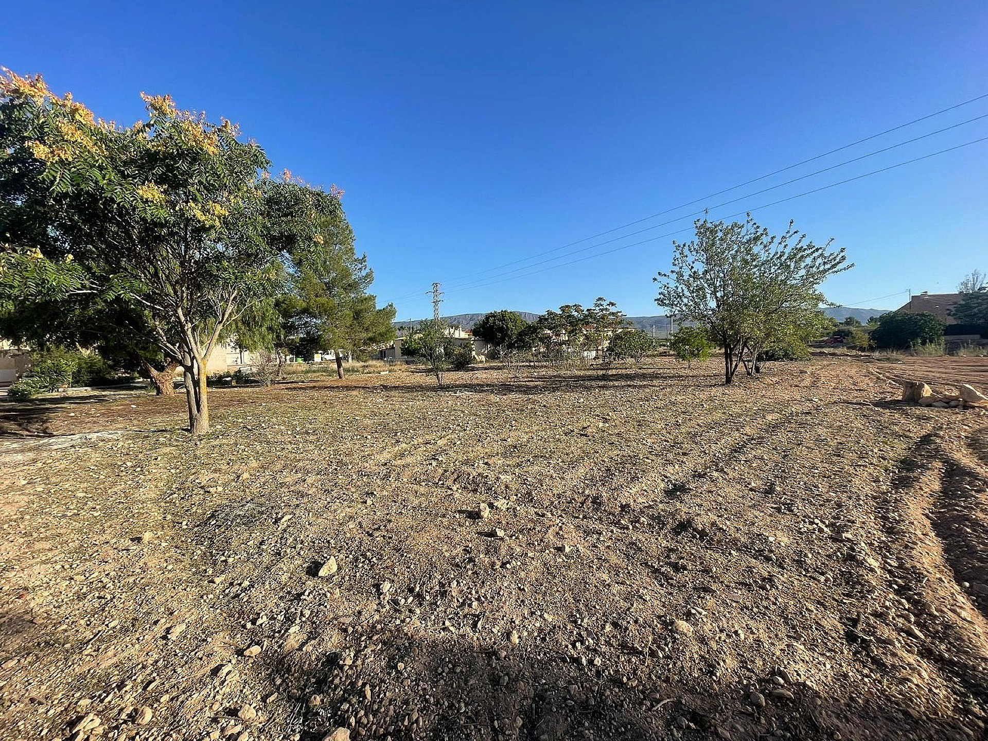 Land In Pinoso, Spain (1.160 M² Plot)