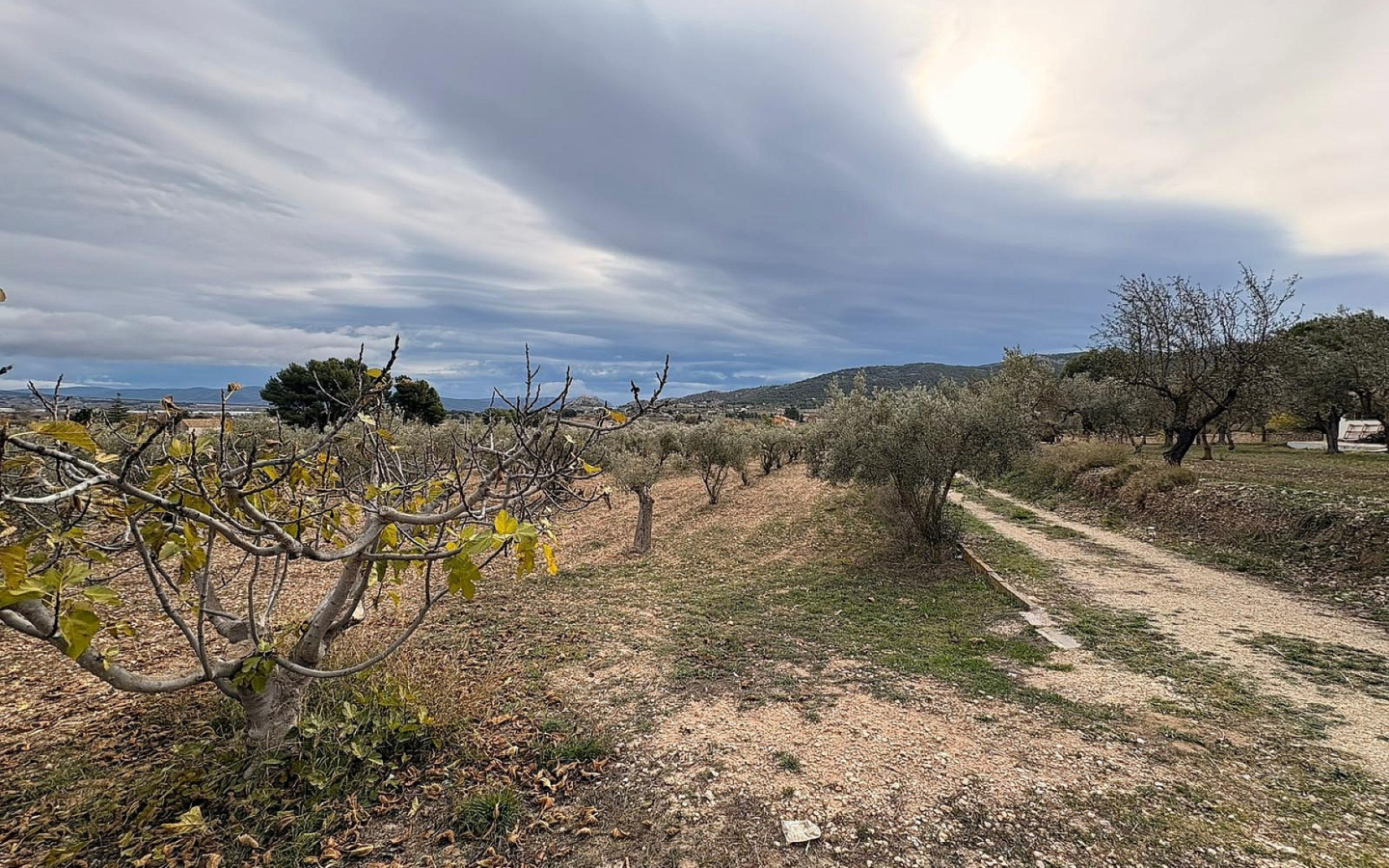 Land In Onil, Spain (8.700 M² Plot)