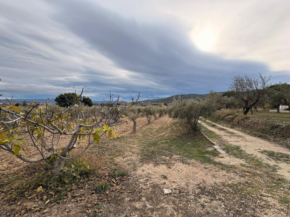 Land In Onil, Spain (8.700 M² Plot)