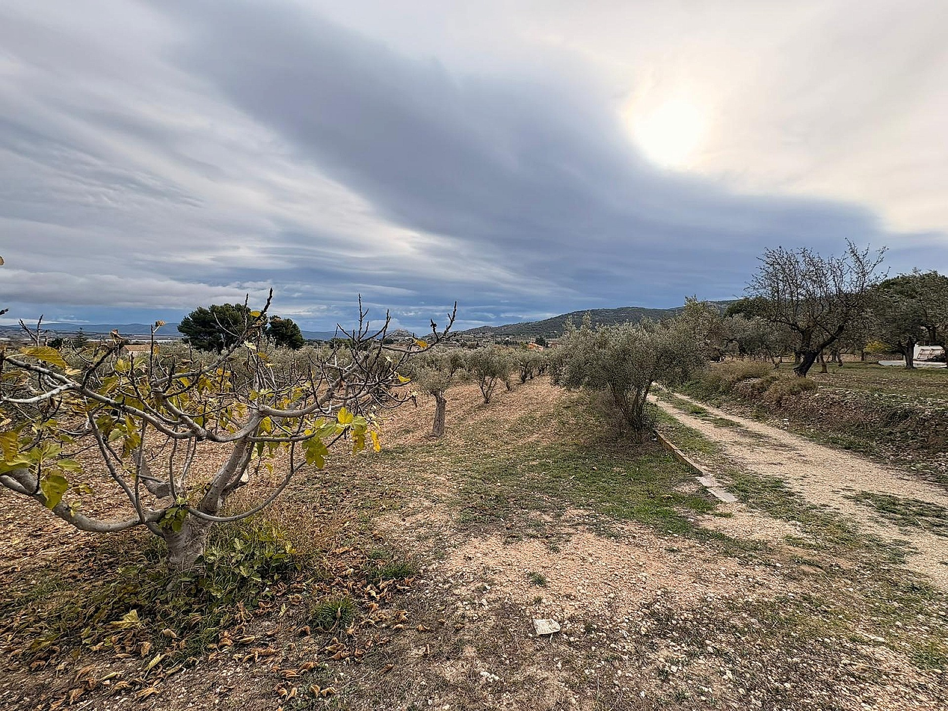 w_dmob2nscbt5cx5eia3eh-36dd17 Land In Onil, Spain (8.700 M² Plot)