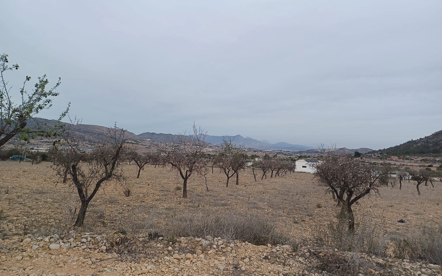 Land In La Romana, Spain (7.530 M² Plot)
