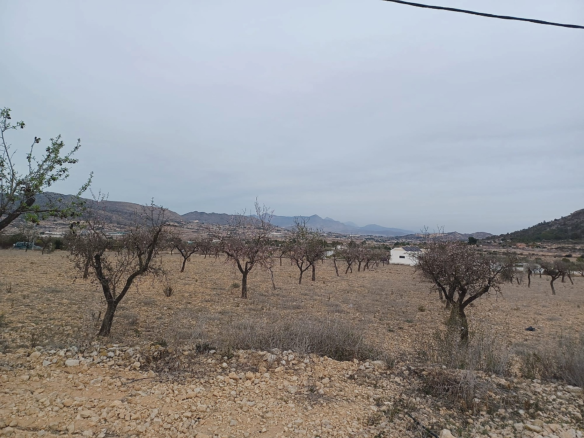 Land In La Romana, Spain (7.530 M² Plot)