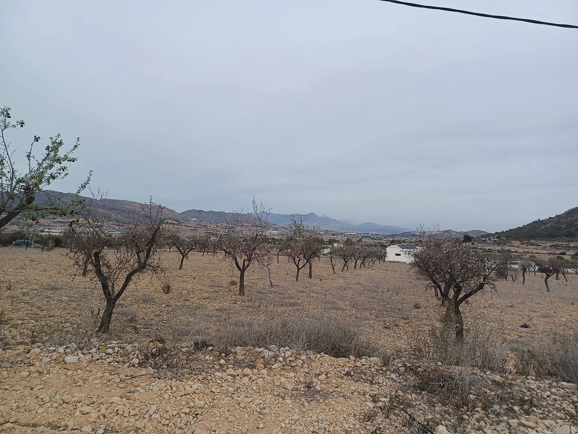 Land In La Romana, Spain (7.530 M² Plot)