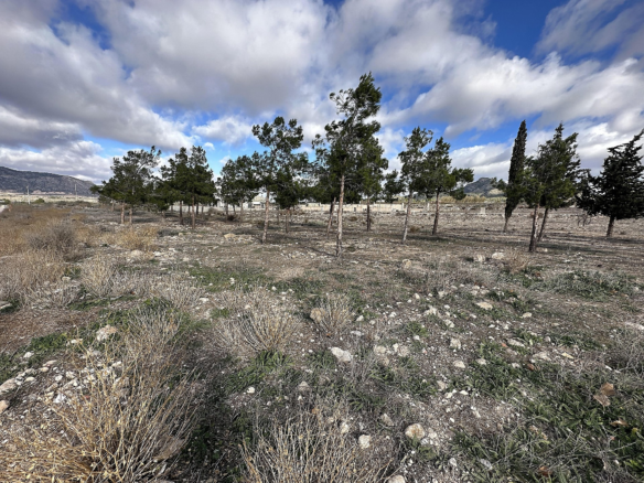 Land In Salinas, Spain (180 M²)